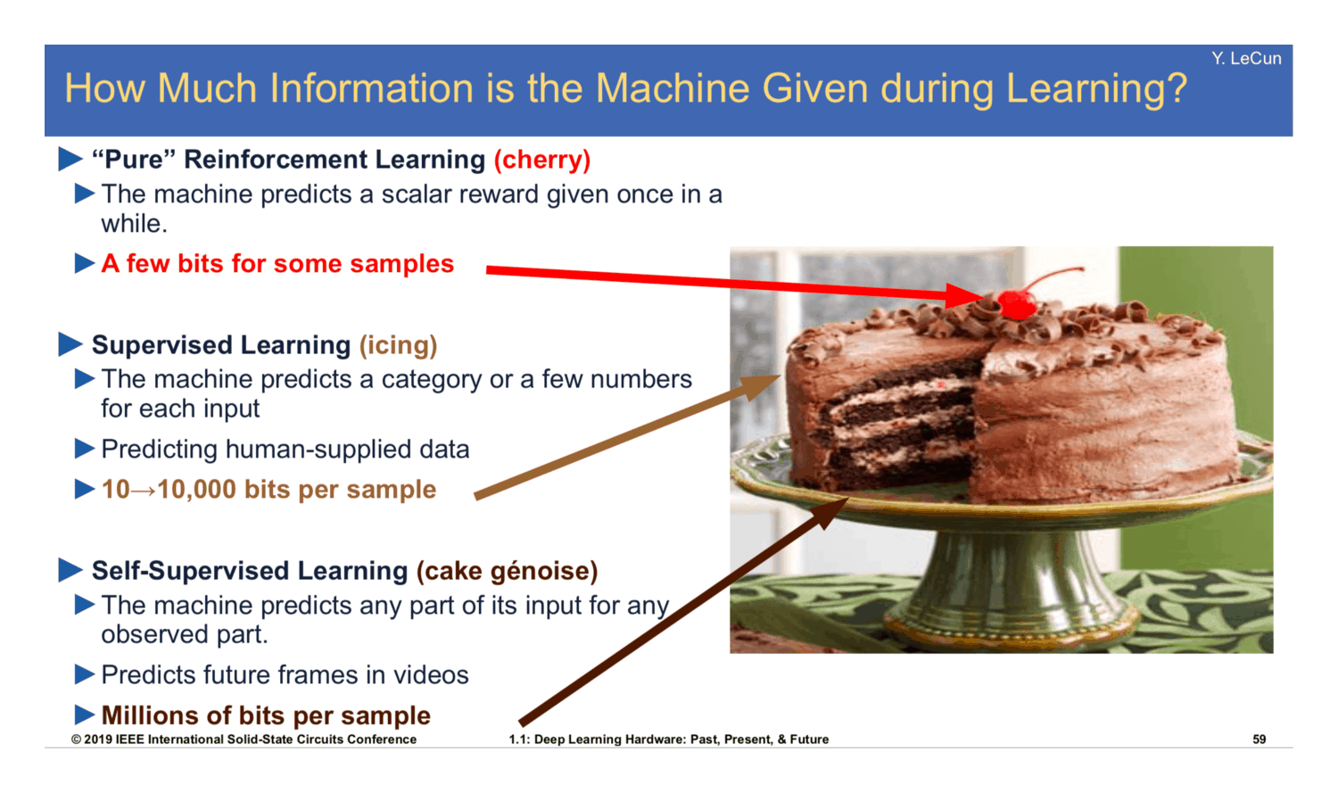 Yann LeCun’s cake